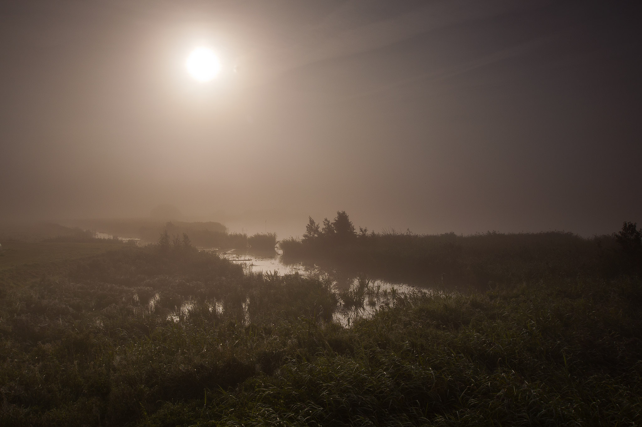 mist, sunrise, fog, photo, photography, holland, the netherlands, lake